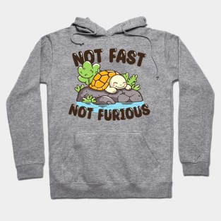 Not Fast, Not Furious Hoodie